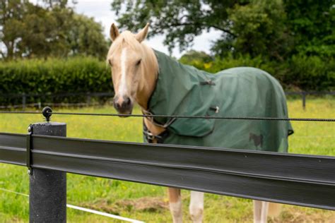 electric fence box for horses|temporary electric fencing for horses.